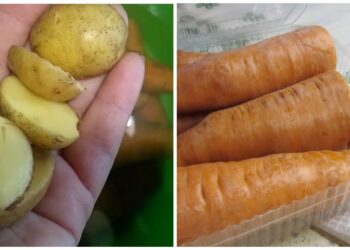 Raukšlėta morka vėl taps kieta ir traški: tereikia vieno priedo į vandenį