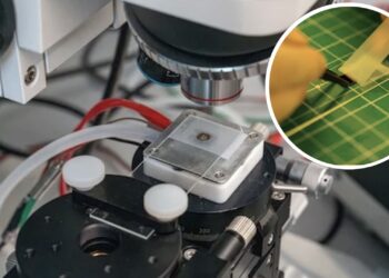 JAV mokslininkų proveržis: itin plonos mikroschemos gali tapti galingesnės ir patikimesnės