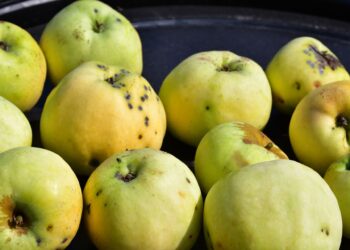 Rudos dėmės ant obuolių: ką jos iš tikrųjų reiškia ir kodėl jų nereikėtų bijoti