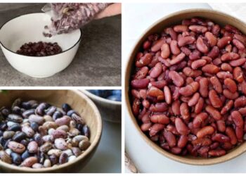 Kaip sausas pupeles išvirti per 15–20 minučių? Paprasta gudrybė su soda