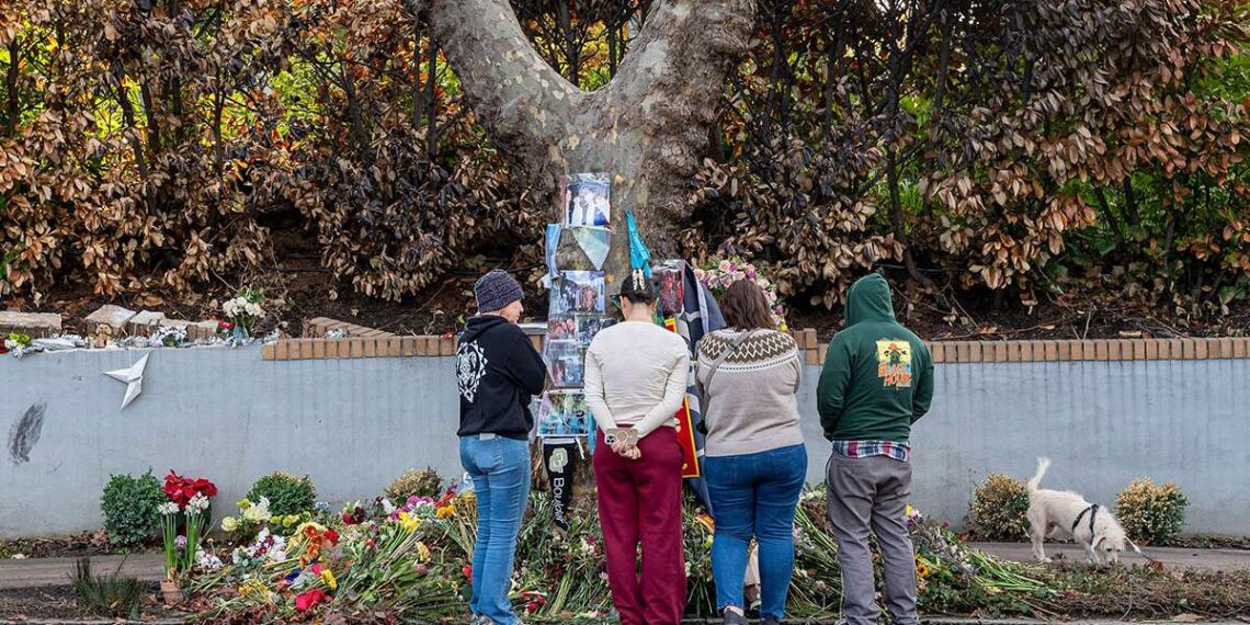 Šeima kaltina „Tesla“ po mirtinos avarijos: durys neatsidarė, keleiviai liko spąstuose