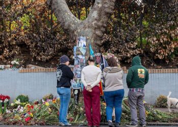 Šeima kaltina „Tesla“ po mirtinos avarijos: durys neatsidarė, keleiviai liko spąstuose