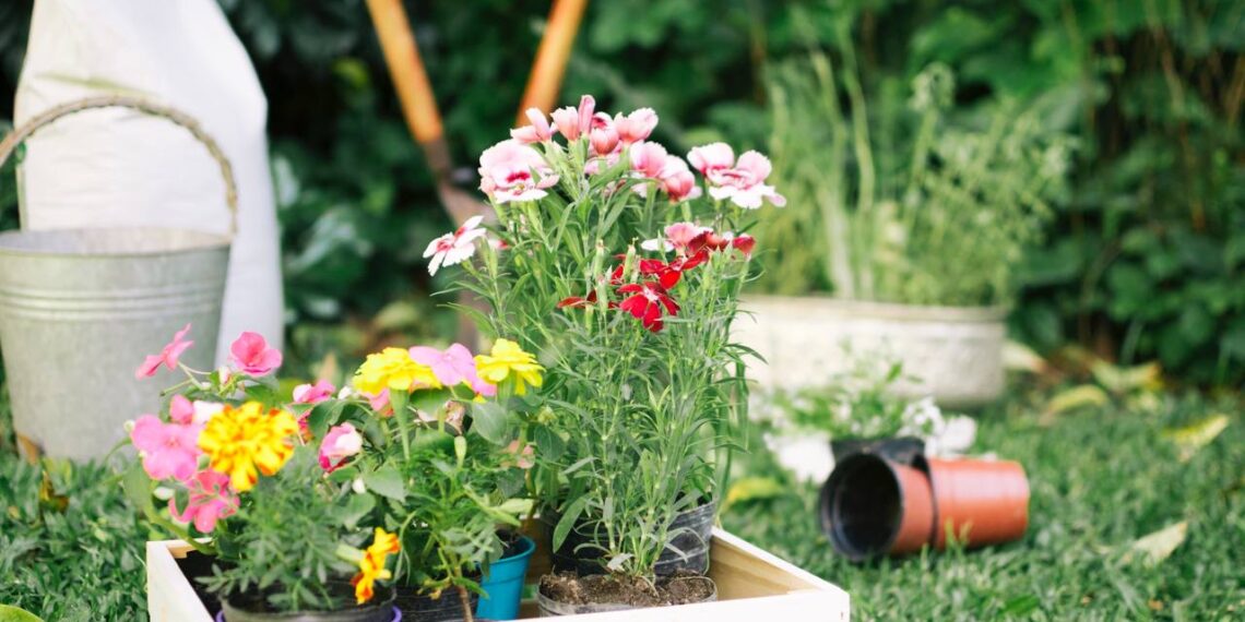 Sodininkų paslaptis: 5 gėlės, kurios padeda atbaidyti kenkėjus darže