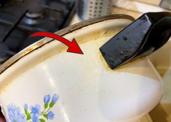 Apdegęs puodas? Ši gudrybė gali padėti jį išvalyti