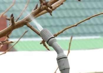 Daržininkų paslaptis: mišinys, kuris apsaugo medžius nuo ligų