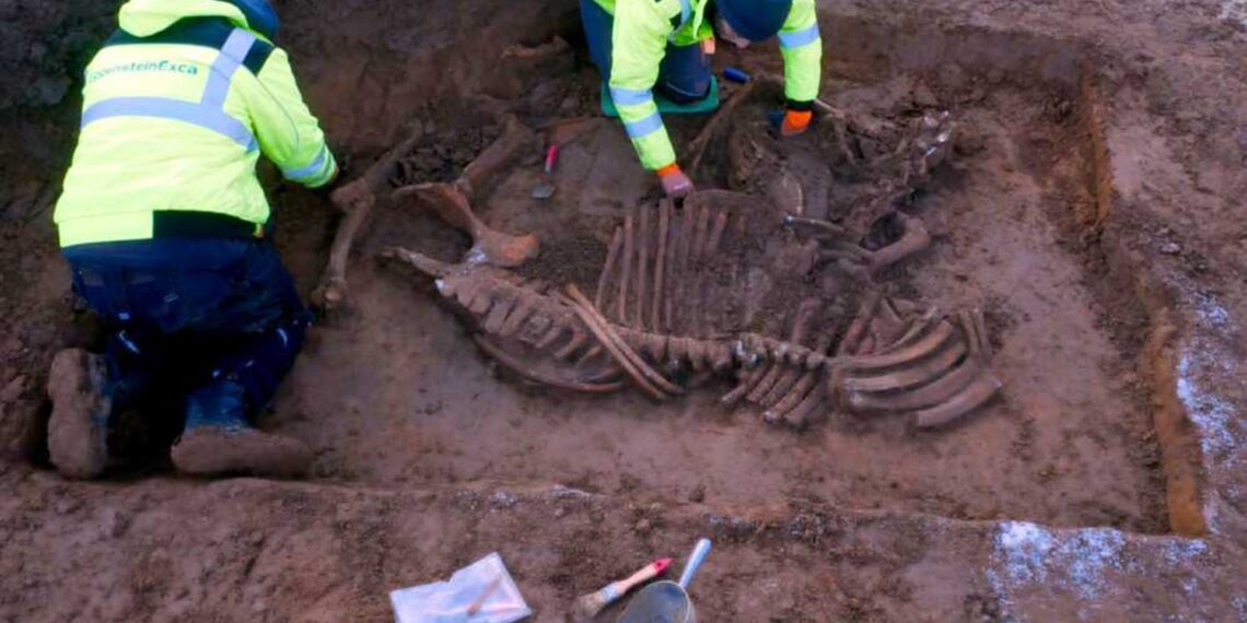 Sensacija Dortmunde: universiteto miestelyje aptikta iki šiol nežinoma senovės gyvenvietė