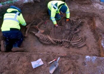 Sensacija Dortmunde: universiteto miestelyje aptikta iki šiol nežinoma senovės gyvenvietė