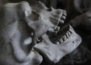 Serbijoje aptikta 1100 metų senumo masinė kapavietė: tarp aukų – moterys ir vaikai