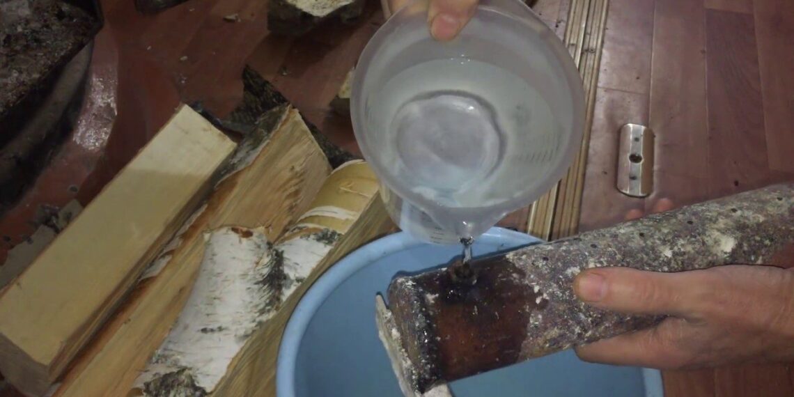 Vienas rąstas dega gerokai ilgiau: paprasta gudrybė taupantiems