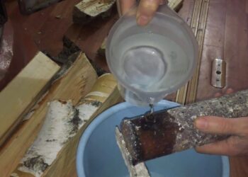 Vienas rąstas dega gerokai ilgiau: paprasta gudrybė taupantiems