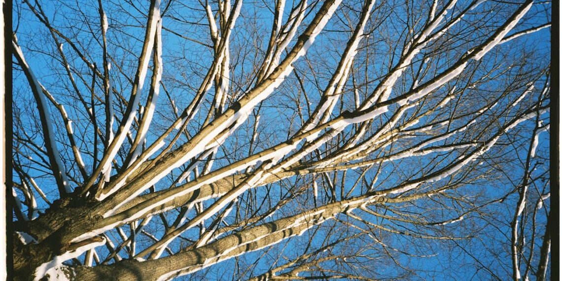 Po žiaurios žiemos agronomai pataria: pavasarį būtinai naudokite šias 3 trąšas