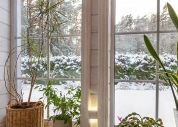 Ekspertai įspėja: po šios žiemos pavasarį laukia nemalonios staigmenos