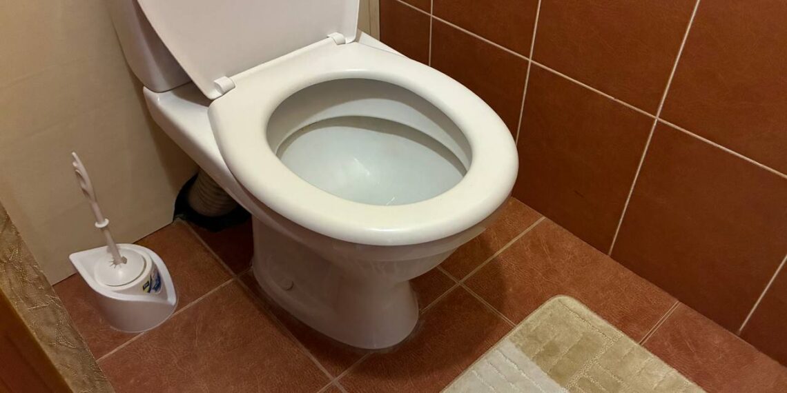 Tualeto smarvė dingo be brangių priemonių – padėjo paprastas būdas