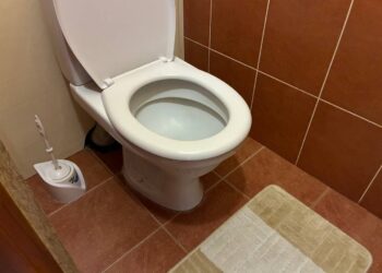 Tualeto smarvė dingo be brangių priemonių – padėjo paprastas būdas