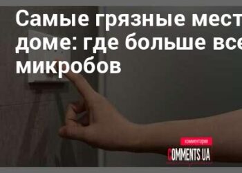 Siaubas jūsų namuose: šiose netikėtose vietose knibžda daugiau mikrobų nei tualete