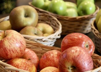 Ne visi obuoliai vienodi: 6 rūšys, kurias medikai rekomenduoja valgyti dažniau