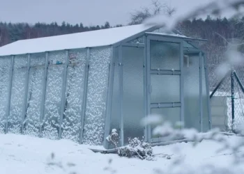 Šiltnamio paruošimas žiemai: 7 klaidos, kurios gali sunaikinti derlių, jei jų neištaisysite dabar