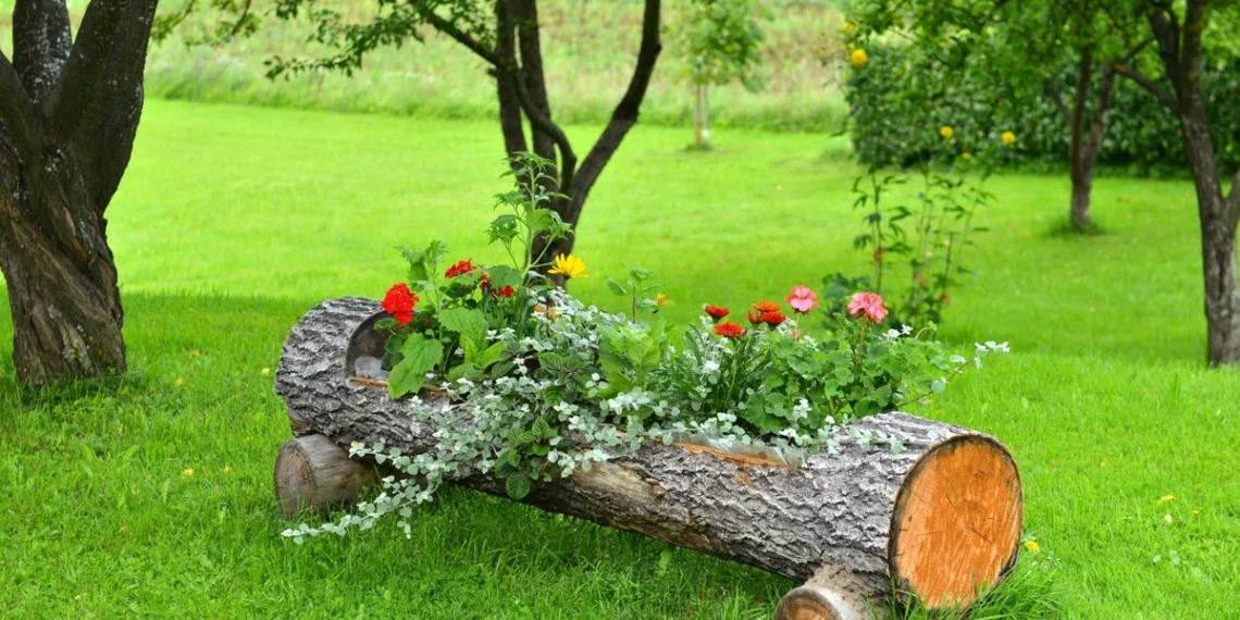 Lauko gėlių vazonų mados keičiasi: štai kas bus populiaru 2026 metais