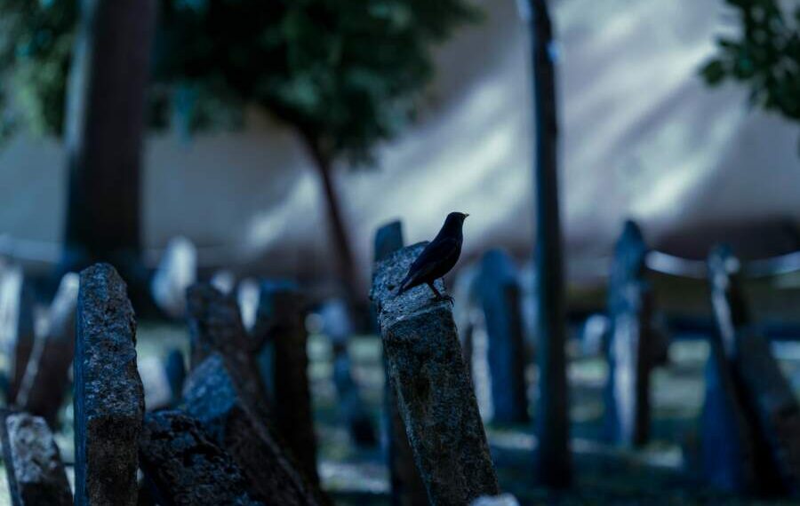 Šito daryti negalima: senoliai įspėja apie klaidą, kurią daro daugelis išeidami iš namų