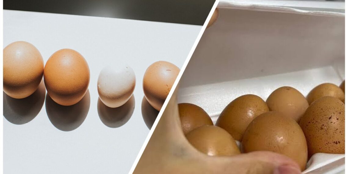 Skandalas parduotuvėse: paaiškėjo, kodėl pigesni C1 kiaušiniai dažnai šviežesni už išgirtus C0