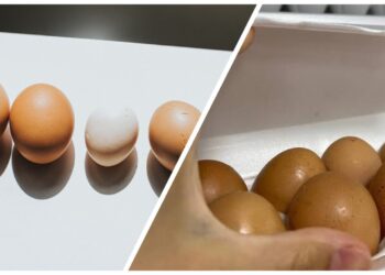 Skandalas parduotuvėse: paaiškėjo, kodėl pigesni C1 kiaušiniai dažnai šviežesni už išgirtus C0