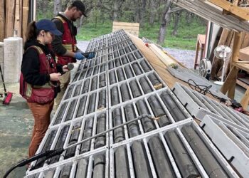 JAV vyriausybė rengia strateginį retųjų žemių rezervą: kodėl sprendimas kelia klausimų