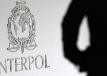 Dėl smulkios vagystės sulaikytas vyras nustebino pareigūnus – paieška paskelbta per Interpolą