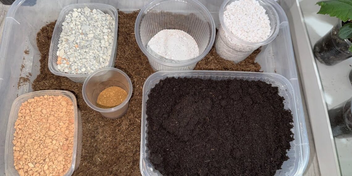 Užteks pirkti brangias žemes? Naminis mišinys gali nustebinti rezultatais