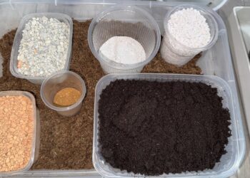 Užteks pirkti brangias žemes? Naminis mišinys gali nustebinti rezultatais