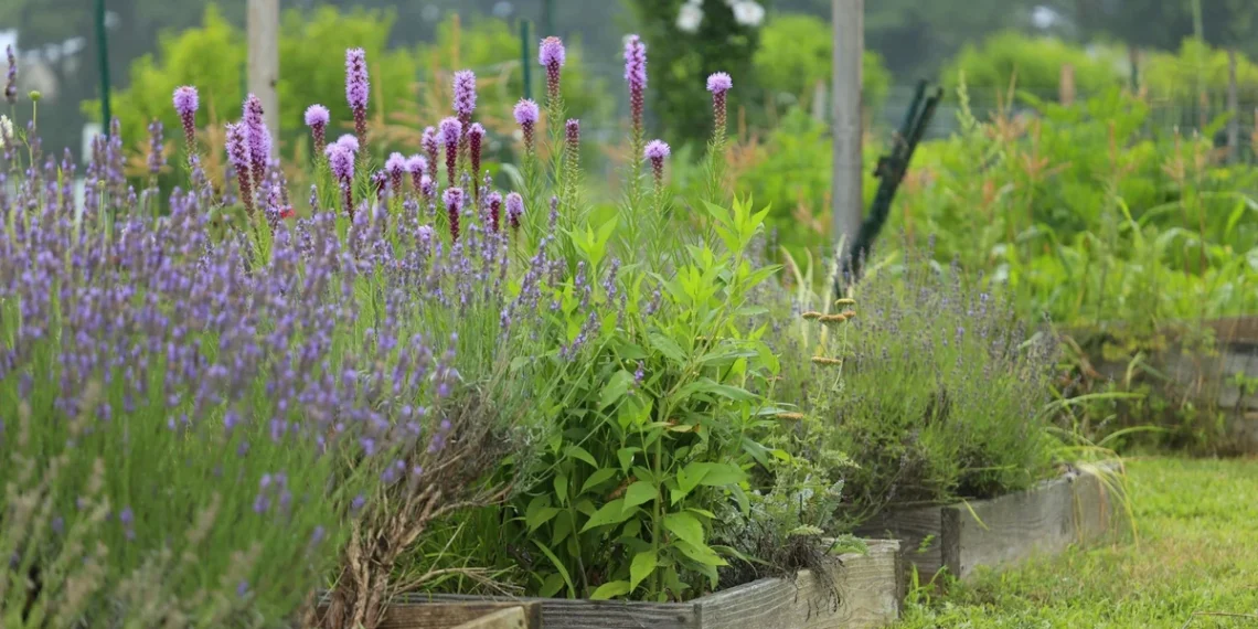 Sodų mados 2026: keisti augalai, laukinis stilius ir viena taisyklė, kuri keičia viską