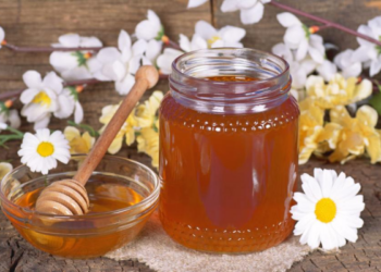 Medus ir karštis: mitas ar reali grėsmė sveikatai?