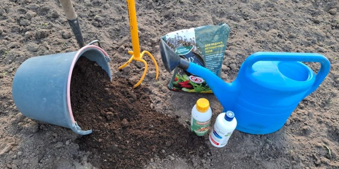 Pigus triukas daržui: vienas produktas gali pagerinti molingą dirvą per sezoną