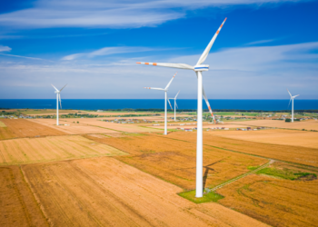 Šokas Latvijoje: valdžia sustabdė vėjo parkų projektus – aiškėja priežastys