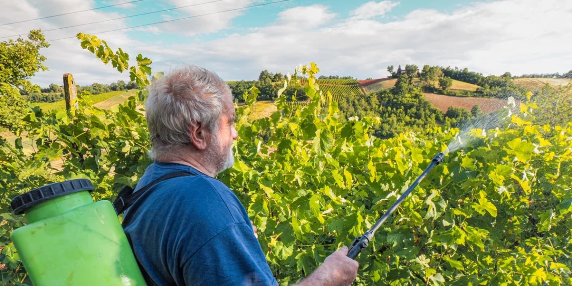 Agronomai įspėja: kada purkšti medžius vario preparatais, kad nepakenktumėte sodui