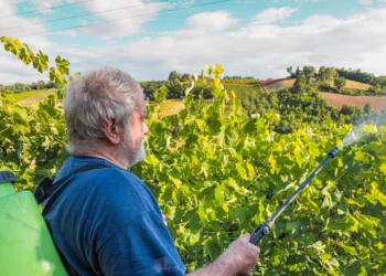 Agronomai įspėja: kada purkšti medžius vario preparatais, kad nepakenktumėte sodui