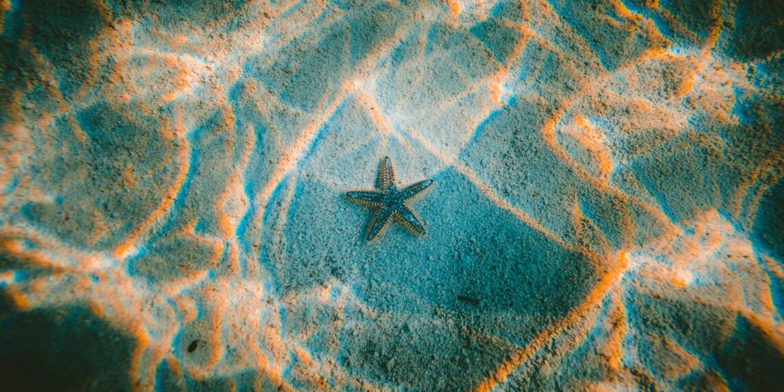 Gyvūnai su antgamtiniais gebėjimais? Mokslas atskleidžia netikėtus faktus