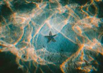 Gyvūnai su antgamtiniais gebėjimais? Mokslas atskleidžia netikėtus faktus