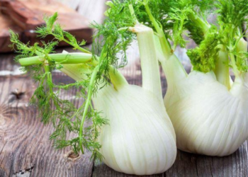 Dažna daržininkų klaida: kaip auginti pankolį ir sulaukti gausaus derliaus