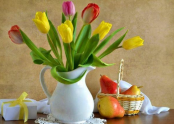 Kaip pailginti tulpių puokštės gyvenimą? Štai ką rekomenduoja floristai