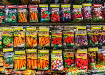 Šokiruojanti tiesa ant sėklų pakelių: dauguma sodininkų ženklinimus supranta visiškai klaidingai