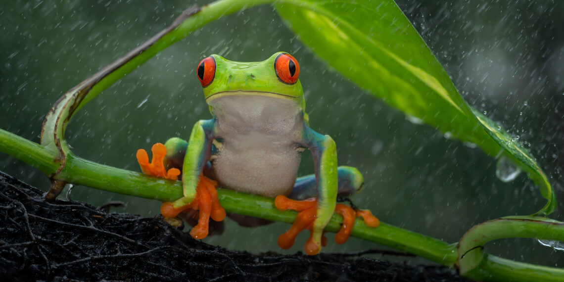 Po 45 metų – atsakymas: mokslininkai išsiaiškino, kaip formuojasi lietus