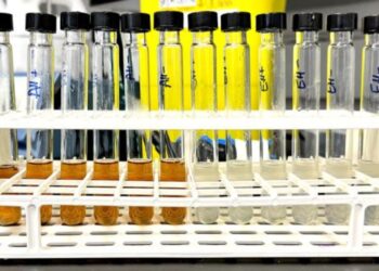 Šokiruojantis atradimas: pasenusi duona gali pakeisti naftą chemijos pramonėje