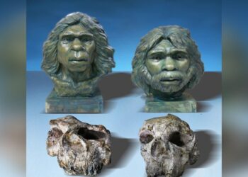 Kinijoje – stulbinantis atradimas: „Homo erectus“ galėjo gyventi gerokai anksčiau nei manyta