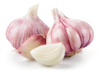 Kuo iš tiesų naudingas česnakas? Mokslininkai įvardijo galimą poveikį sveikatai