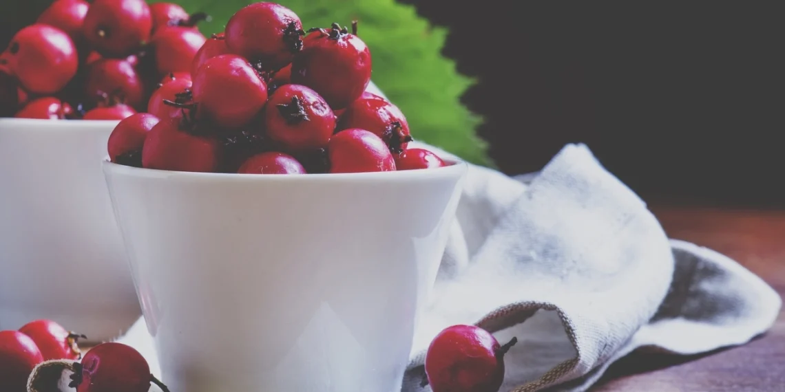 Gydytojai perspėja: gudobeles vartojame ne visai teisingai