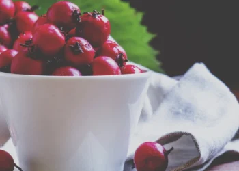 Gydytojai perspėja: gudobeles vartojame ne visai teisingai