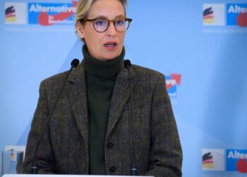 Vokietijoje – svarbus teismo sprendimas: AfD stiprina pozicijas prieš rinkimus
