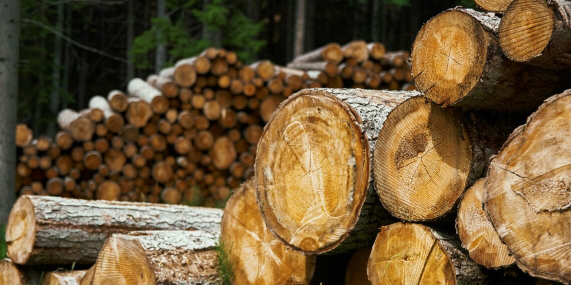 Po dvejų metų tylos DARPA grįžta: pramonė raginama įsitraukti į dekarbonizacijos lenktynes