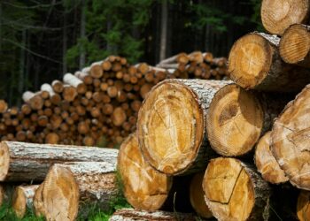 Po dvejų metų tylos DARPA grįžta: pramonė raginama įsitraukti į dekarbonizacijos lenktynes