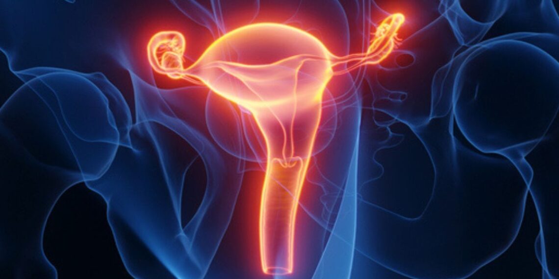 Medicinos proveržis JK: moteris pagimdė po persodintos mirusios donorės gimdos